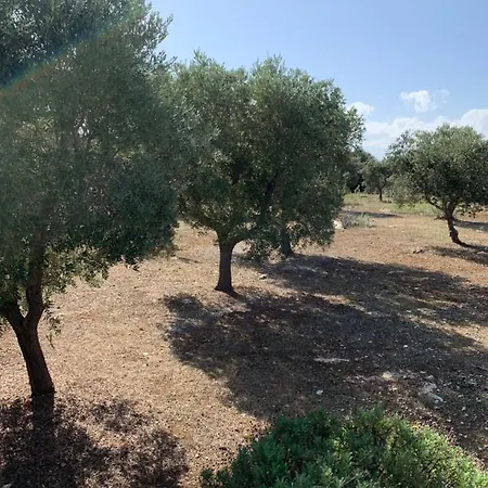 Trullo Palummieddu Vakantiehuis